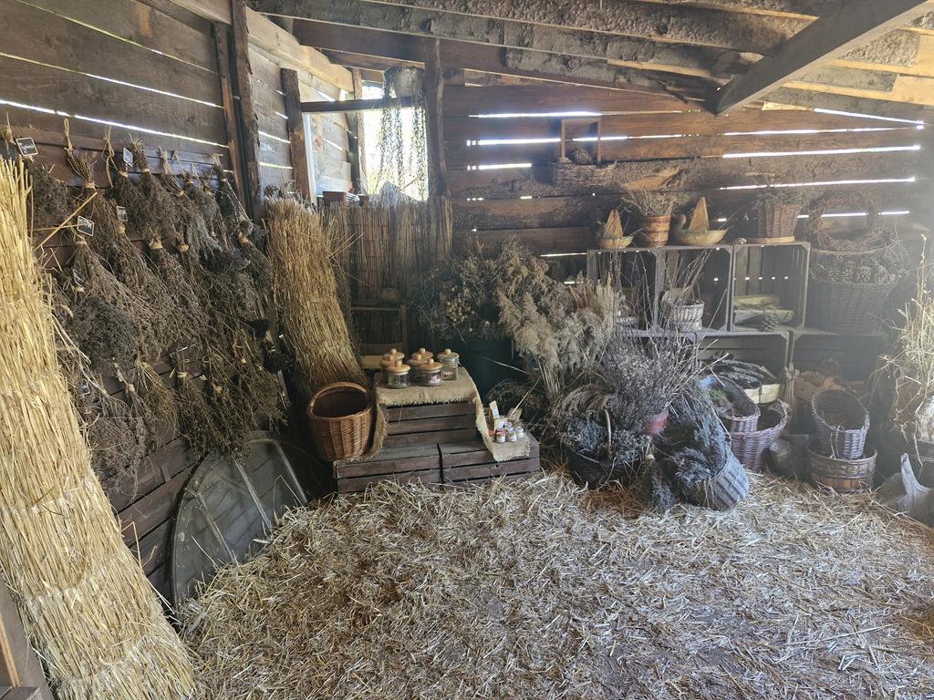 wycieczkaagro0426 8